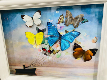 Real Butterfly Wing Sailboat Framed Art – Nautical