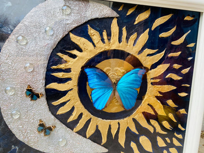 Real Butterflies and Dried Flowers Framed Art, 16x20