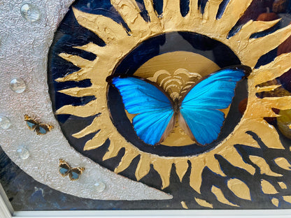 Real Butterflies and Dried Flowers Framed Art, 16x20
