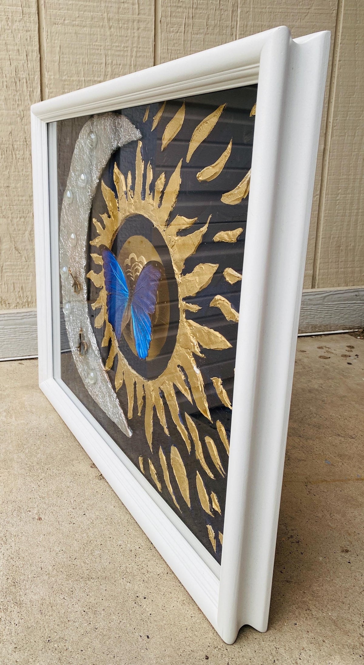 Real Butterflies and Dried Flowers Framed Art, 16x20