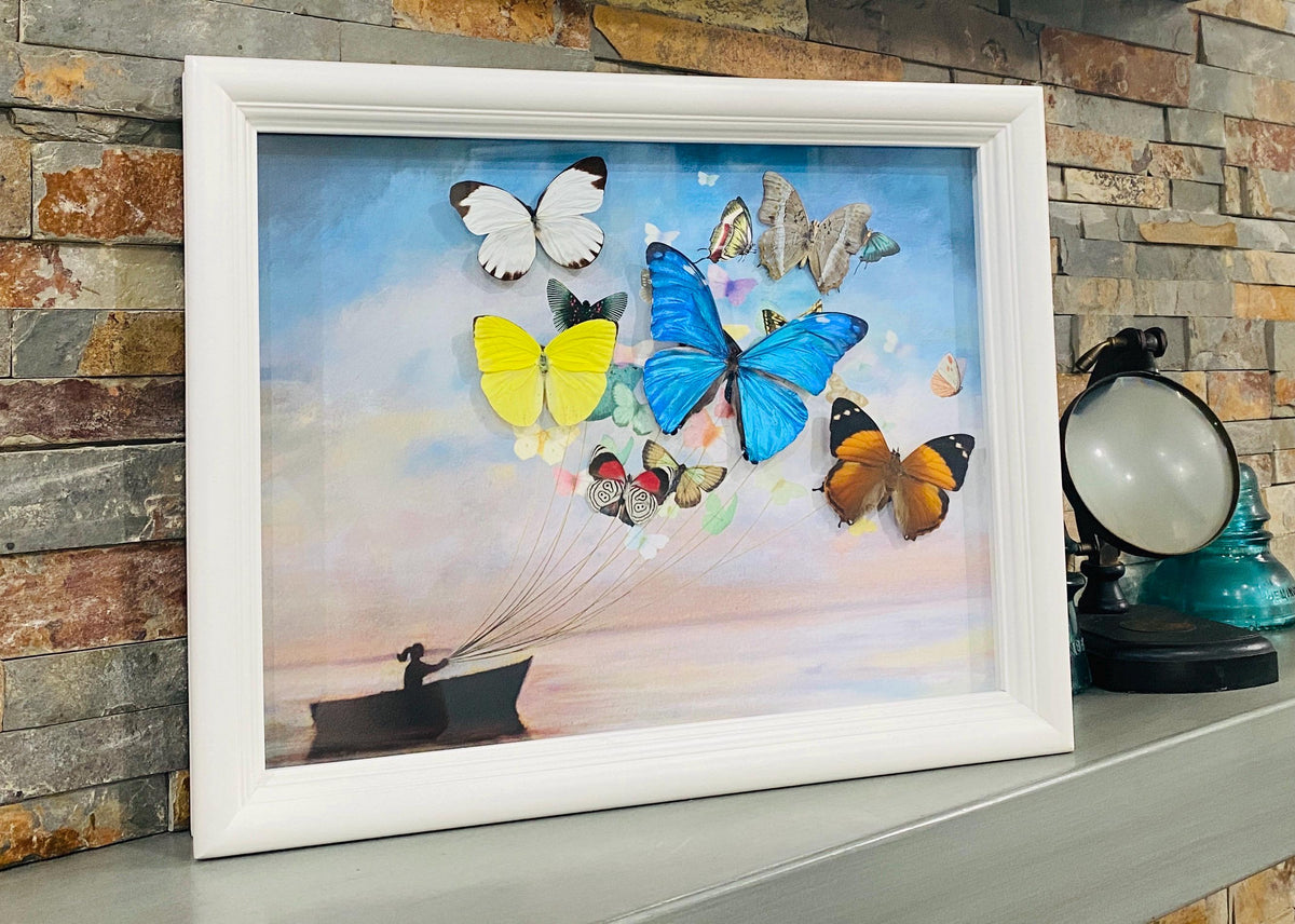 Real Butterfly Wing Sailboat Framed Art – Nautical