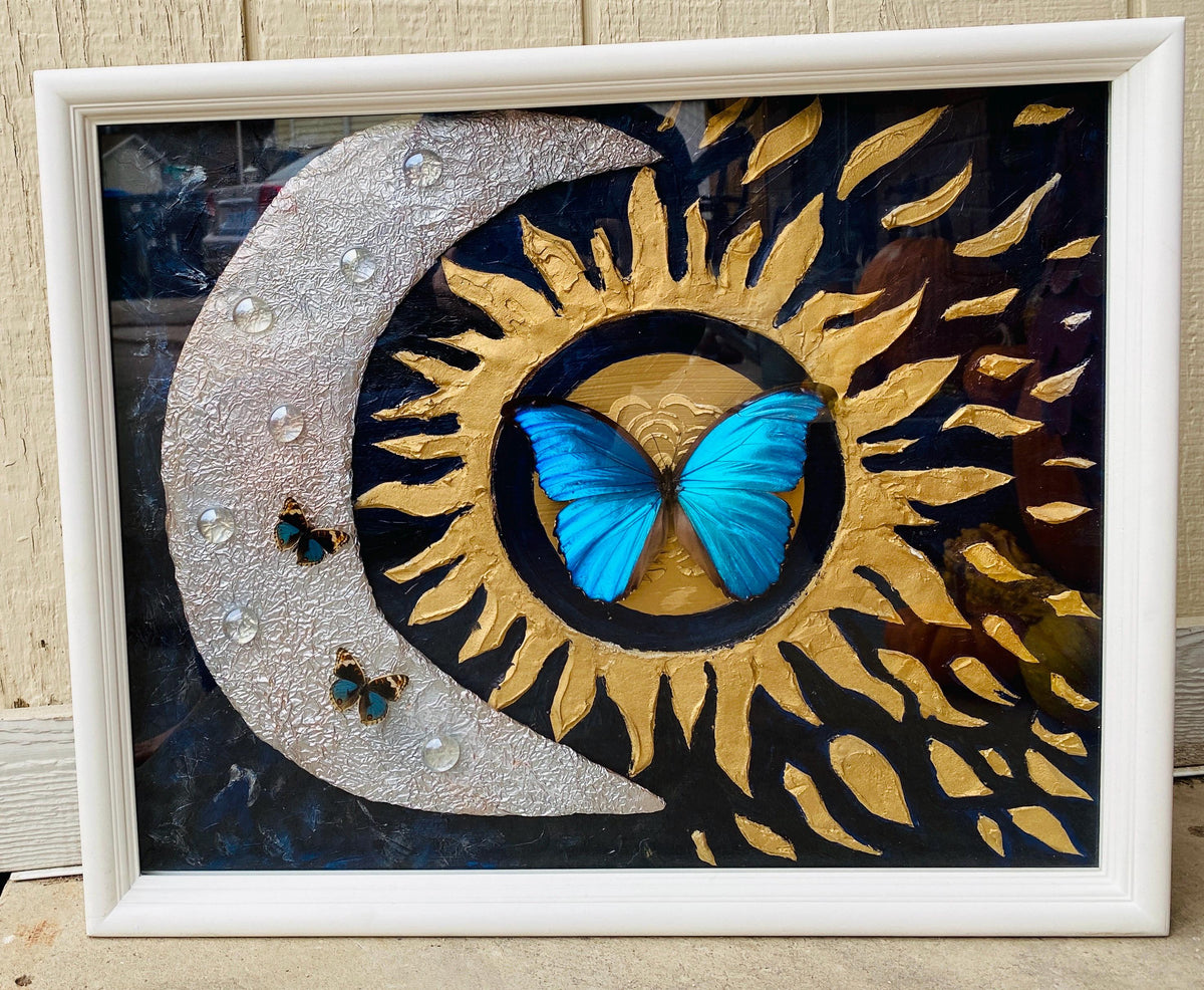 Real Butterflies and Dried Flowers Framed Art, 16x20