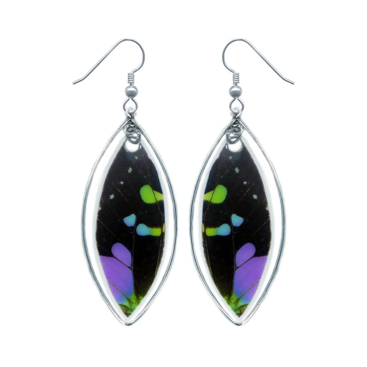 Real Purple Spotted Swallowtail Wing Teardrop Earrings in Sterling Silver – Graphium Weiskei