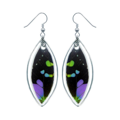 Real Purple Spotted Swallowtail Wing Teardrop Earrings in Sterling Silver – Graphium Weiskei