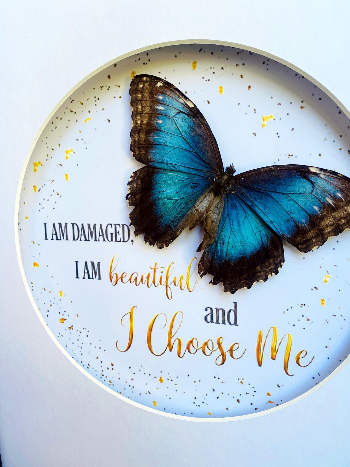 Real Blue Morpho “I Choose Me” Affirmation Shadow Box