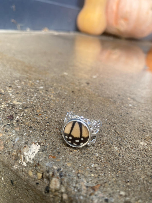 Real Monarch Butterfly Wing Adjustable Ring