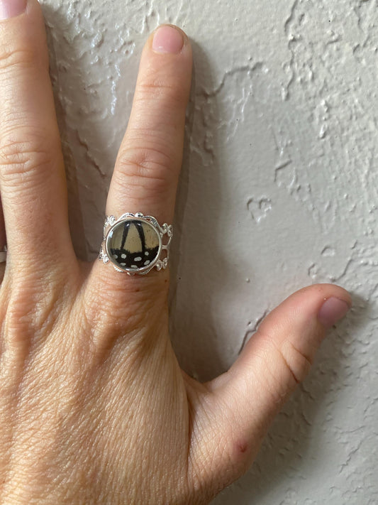 Real Monarch Butterfly Wing Adjustable Ring