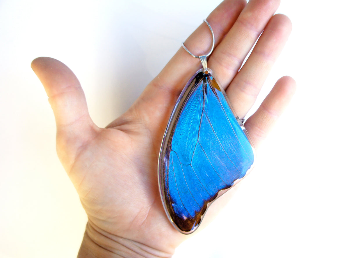 Blue Morpho wing necklace, detail view