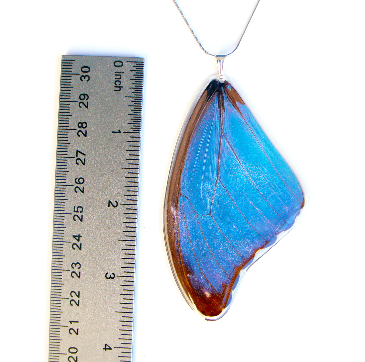 Blue Morpho wing necklace, additional view