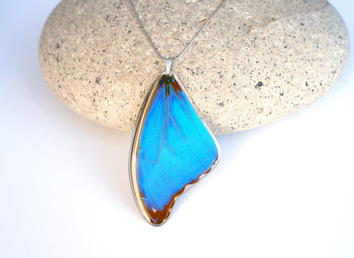 Real Blue Morpho butterfly wing necklace