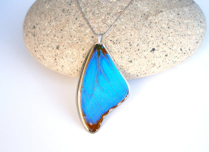 Real Blue Morpho butterfly wing necklace