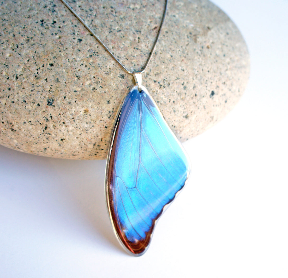 Blue Morpho wing necklace, alternate view