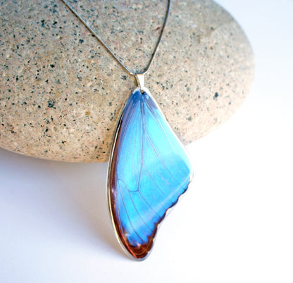 Blue Morpho wing necklace, alternate view