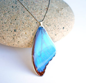 Recycled Butterfly Wing Necklace - Blue Morpho - Butterfly Gift, Nature Theme Jewelry