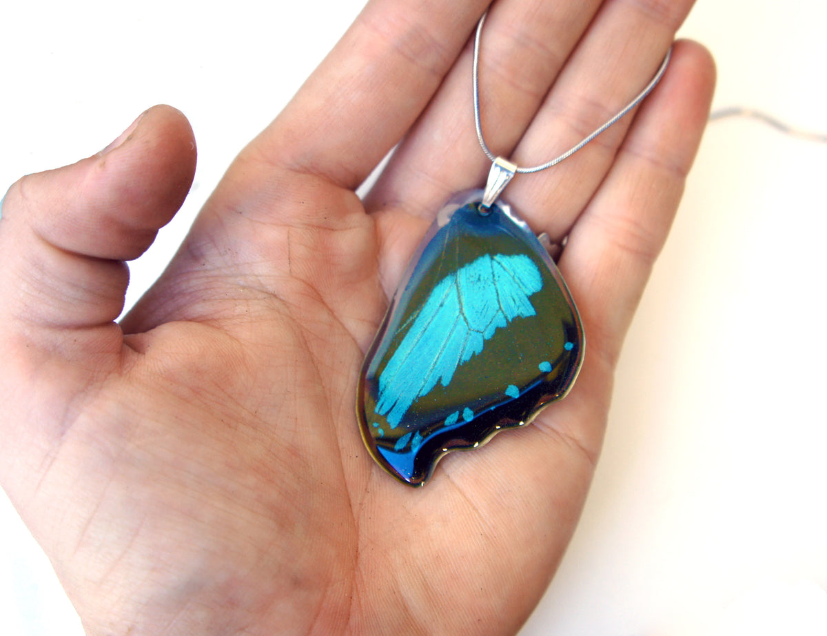 Papilio bromius wing necklace, detail view
