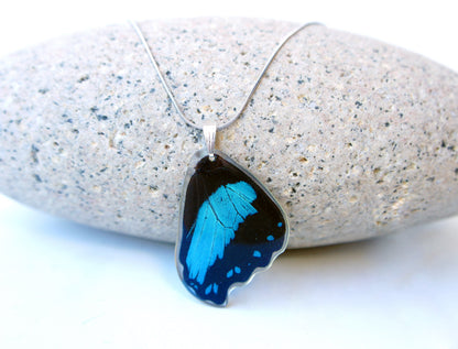 Real blue-banded Papilio bromius butterfly wing necklace