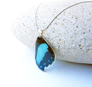 Blue Butterfly Wing Necklace - Papilio Bromius