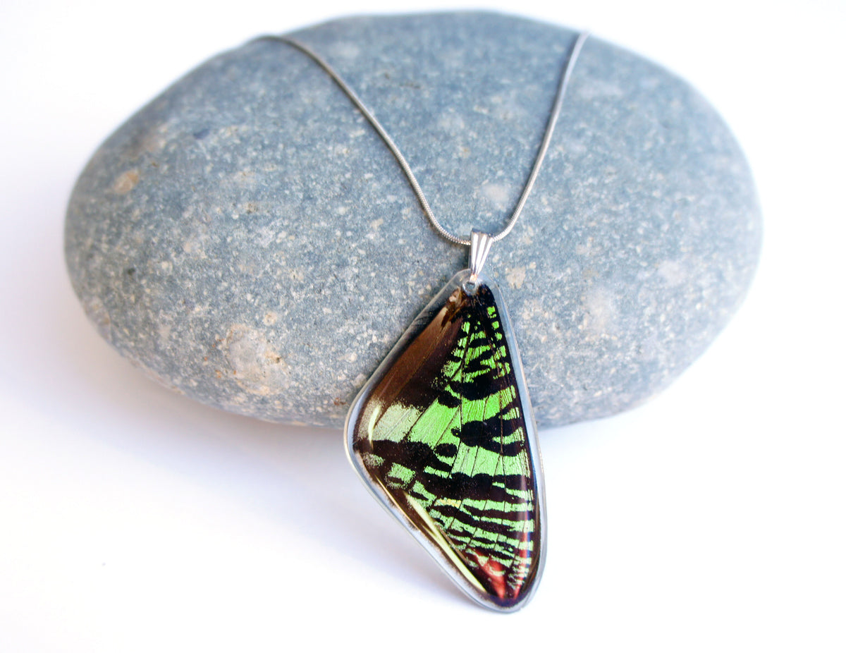 Real green Sunset Moth wing necklace