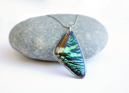 Green Sunset Moth wing necklace, alternate view