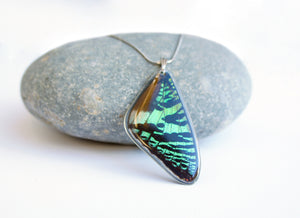 Recycled Butterfly Wing Necklace - Green Sunset Moth - Butterfly Gift, Nature Theme Jewelry