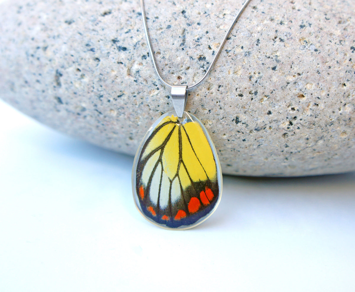 Real painted jezebel (Delias hyparete) butterfly wing necklace