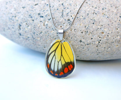Real painted jezebel (Delias hyparete) butterfly wing necklace