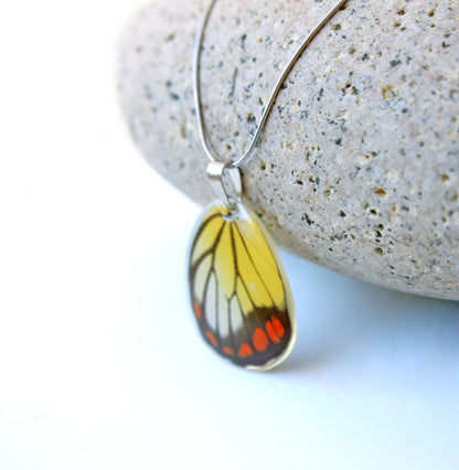 Painted jezebel wing necklace, alternate view