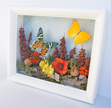 Load image into Gallery viewer, 8x10 Flower Shadow Box with Sunset Moth and Yellow
