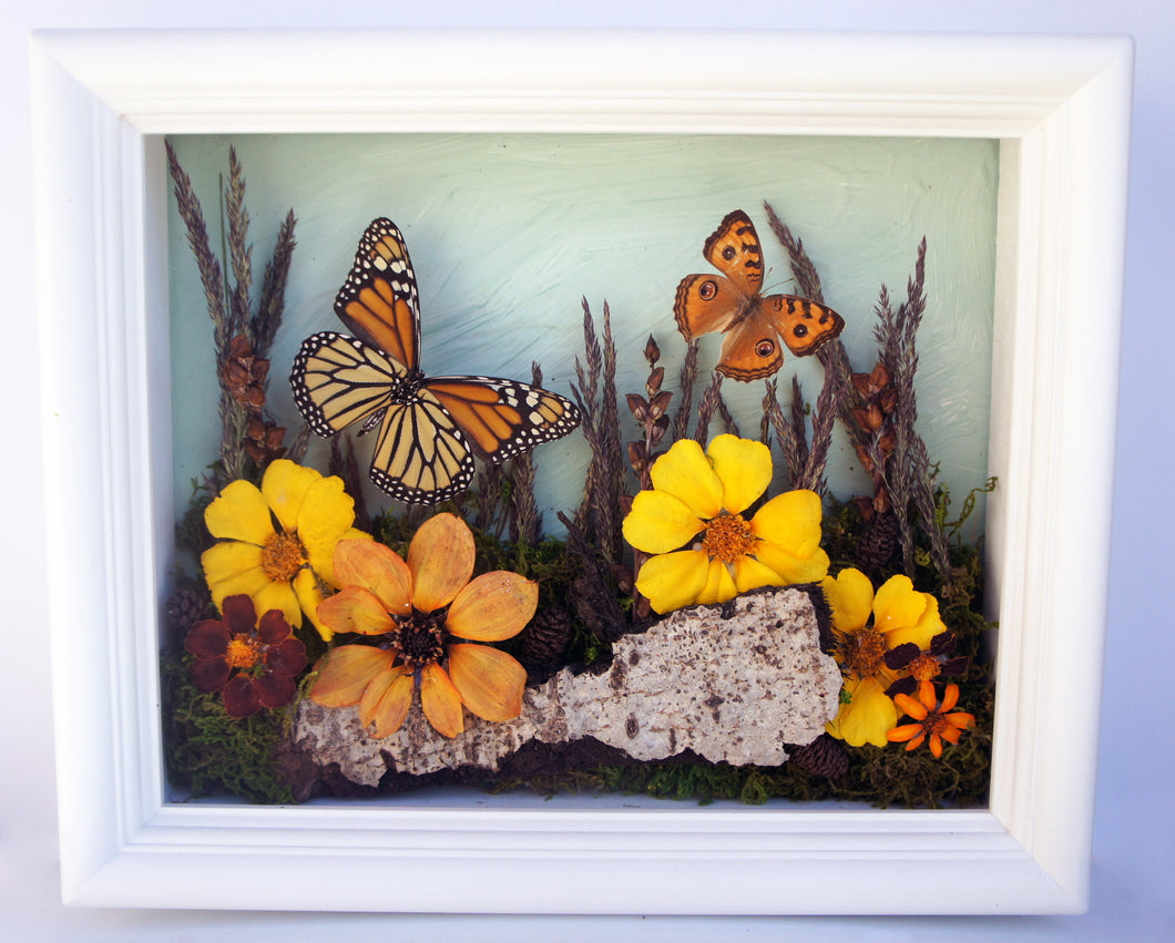 8x10 Flower Shadow Box with Monarch and Owl Eyes
