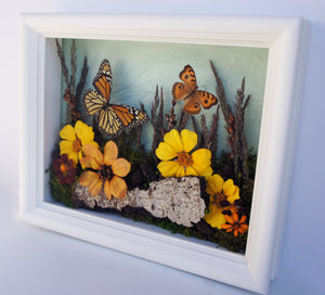 8x10 Flower Shadow Box with Monarch and Owl Eyes