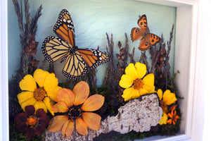 8x10 Flower Shadow Box with Monarch and Owl Eyes