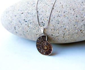 Ammonite Fossil Necklace - Nature Jewelry