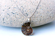Load image into Gallery viewer, Ammonite Fossil Necklace - Nature Jewelry
