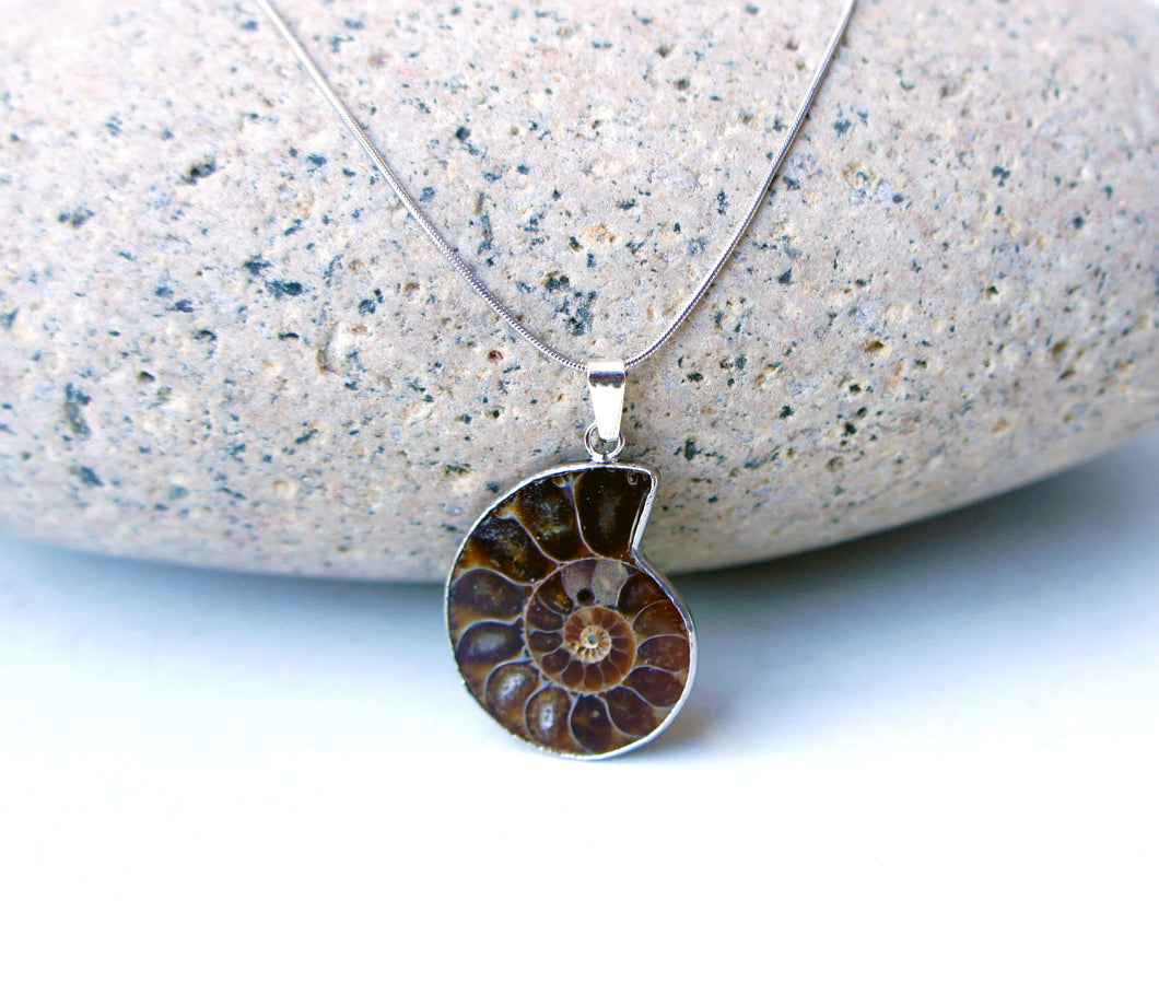 Ammonite Fossil Necklace - Nature Jewelry