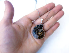 Load image into Gallery viewer, Ammonite Fossil Necklace - Nature Jewelry
