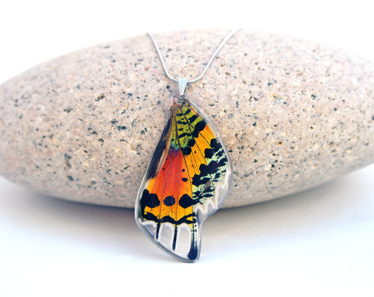 Real rainbow Sunset Moth wing necklace