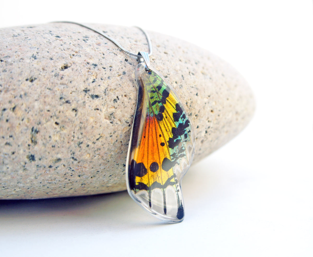 Rainbow Sunset Moth wing necklace, alternate view
