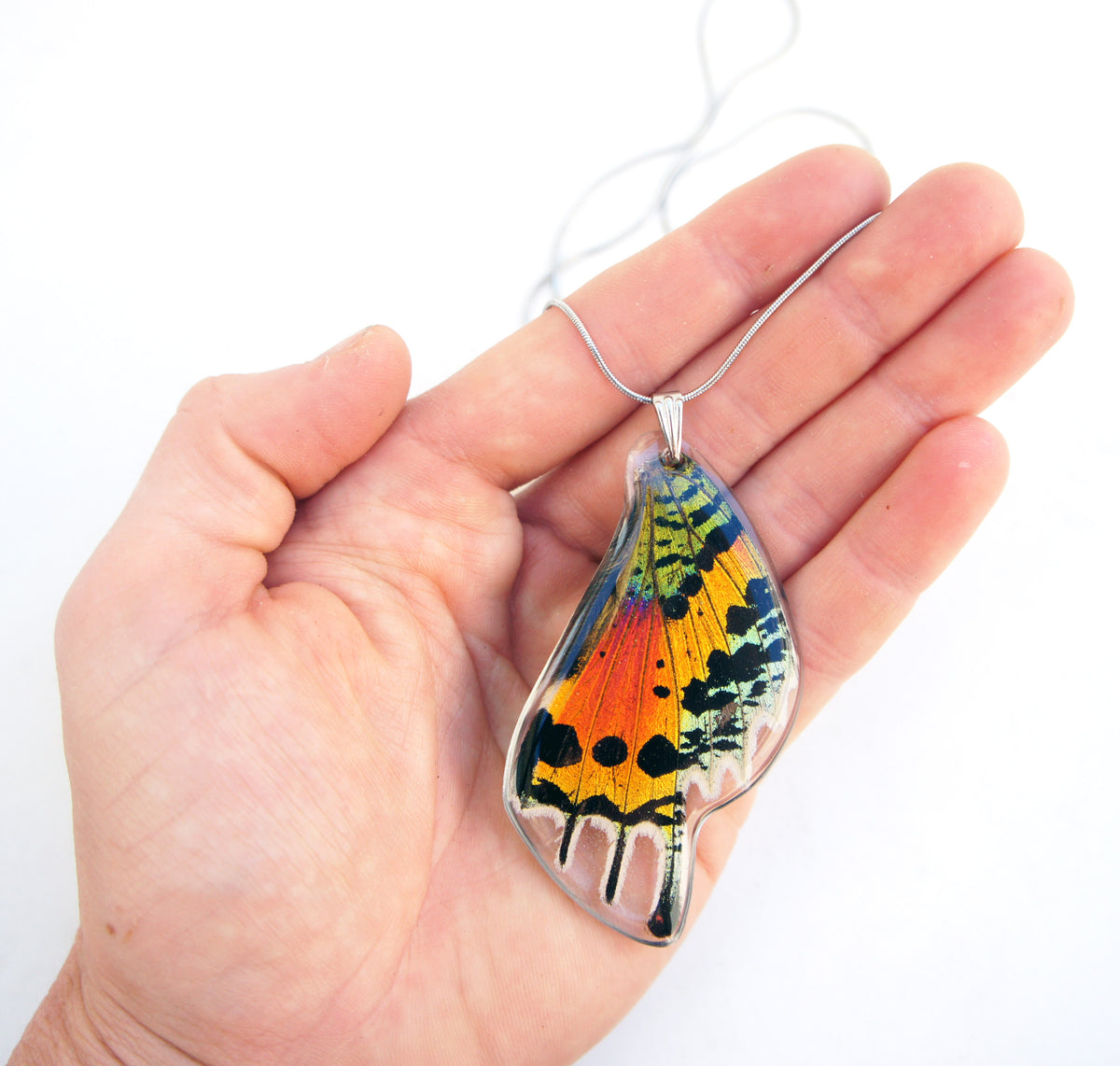 Rainbow Sunset Moth wing necklace, detail view