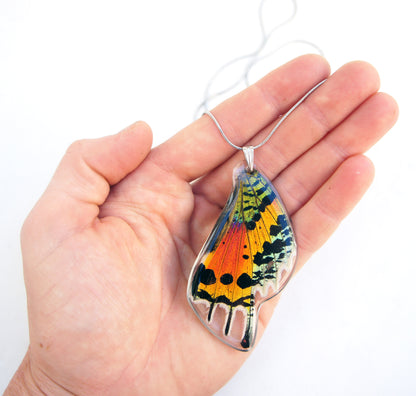 Rainbow Sunset Moth wing necklace, detail view