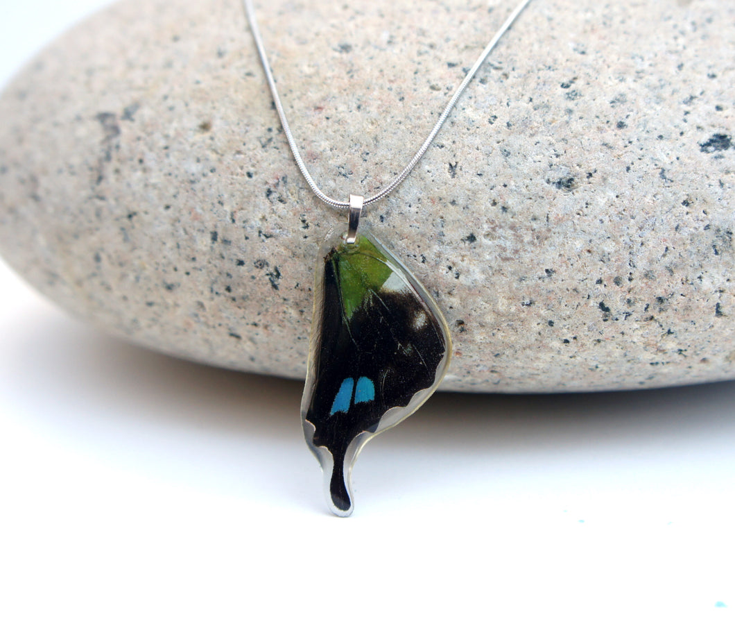 Recycled Butterfly Wing Necklace - Graphium Weiskei Hindwing - Butterfly Gift, Nature Theme Jewelry