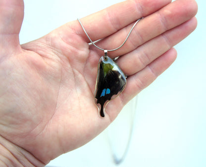 Graphium weiskei wing necklace, additional view