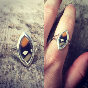 Real Butterfly Wing Ring - Monarch Marquis
