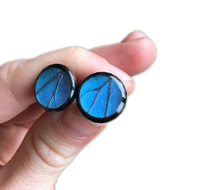 Real Blue Morpho wing Mayan flare wood plugs, 2G to 00G