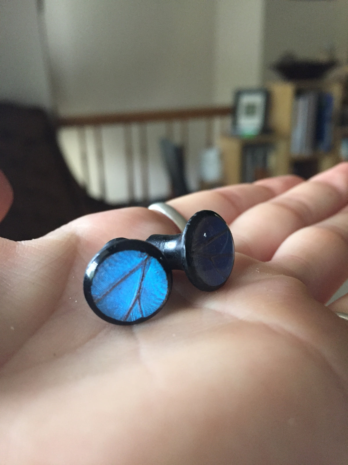Blue Morpho wood plugs, alternate view