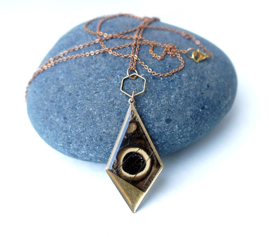 Real owl eye butterfly wing in a brass kite pendant on an extra long chain