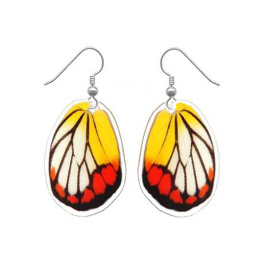 Real painted jezebel (Delias hyparete) hindwing earrings