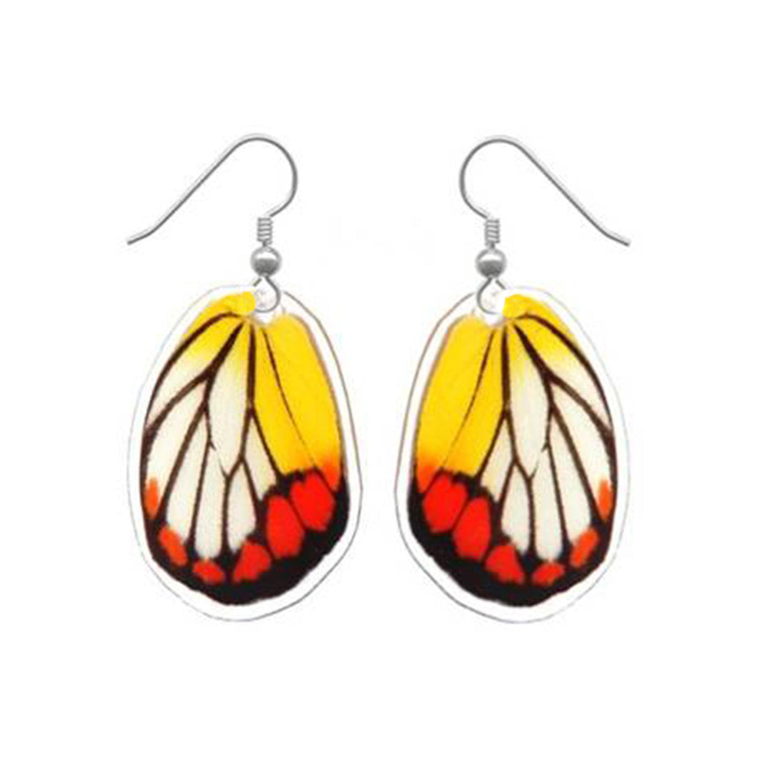 REAL butterfly wing earrings - Delias Hyparete Hindwing