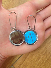 Load image into Gallery viewer, Pendant Butterfly Wing Earrings - Blue Morpho Circle
