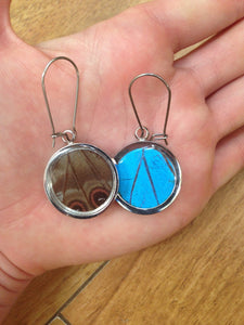 Pendant Butterfly Wing Earrings - Blue Morpho Circle