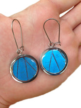 Load image into Gallery viewer, Pendant Butterfly Wing Earrings - Blue Morpho Circle
